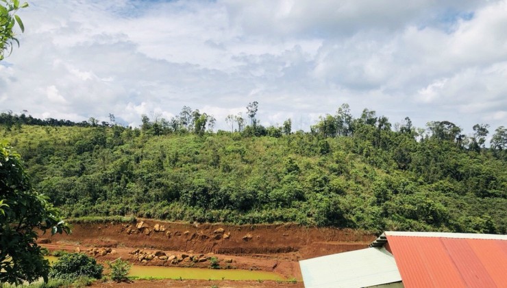 Thanh lý đất nền Măng Đen - Kon Tum giá rẻ